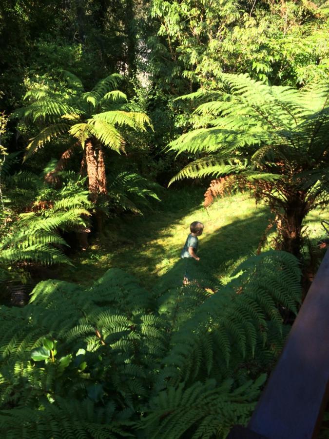 Вілла The Ferns Hideaway Франц-Йосиф Екстер'єр фото
